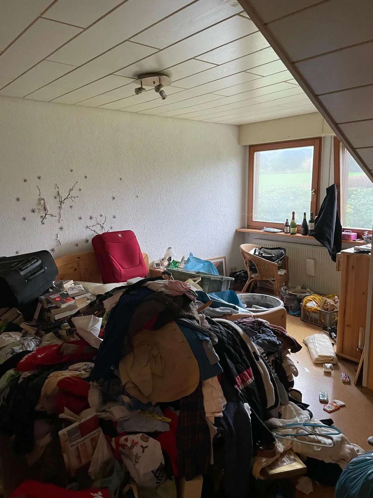 Before image alt